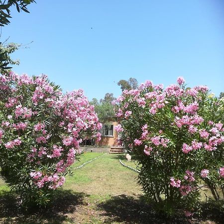 Villa Olia Tortolì Εξωτερικό φωτογραφία